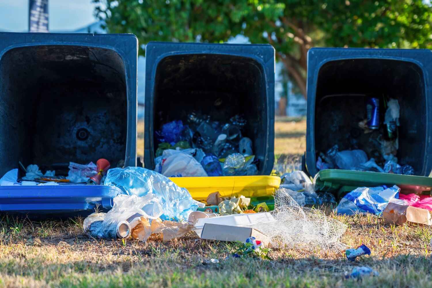 Debris Removal in Granite Bay, CA